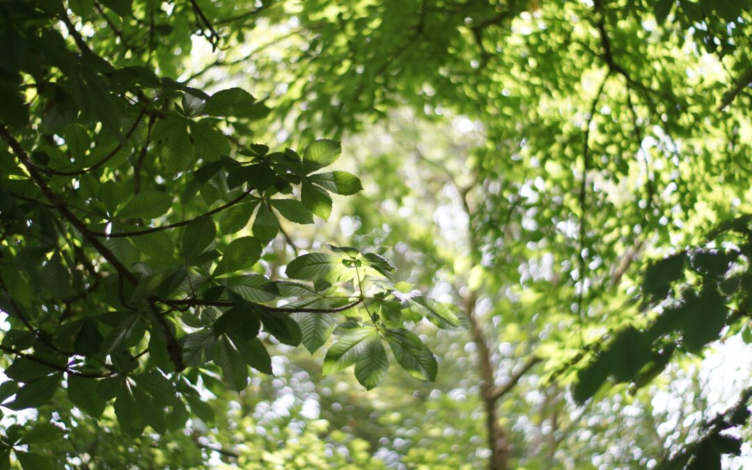 Un proyecto europeo para crear un Observatorio Ecológico Transfronterizo en torno al Duero