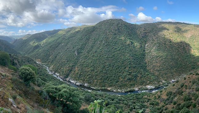 La USAL participa en el proyecto de creación de un Observatorio Ecológico Transfronterizo en torno al Duero financiado con 1,6 millones de euros.