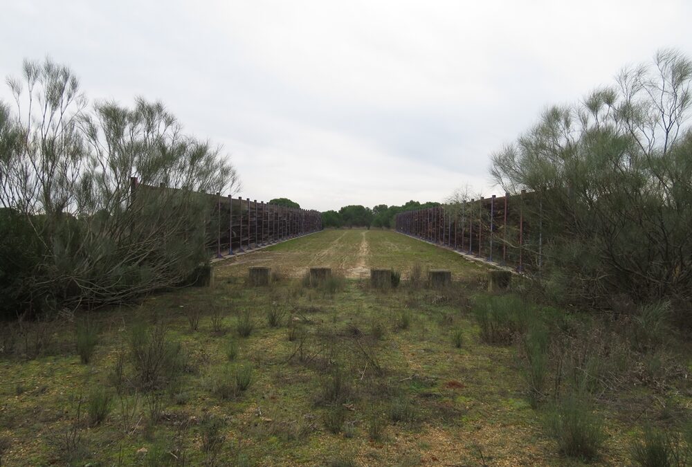 La fragmentación del territorio por el desarrollo de infraestructuras, un desafío ambiental