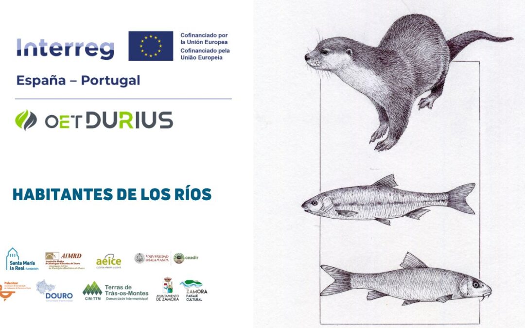 Habitantes del río Duero