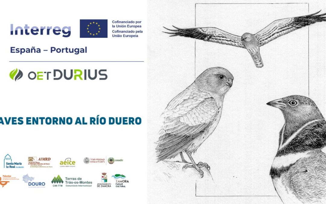 AVES ESTEPARIAS DE LA CUENCA DEL DUERO