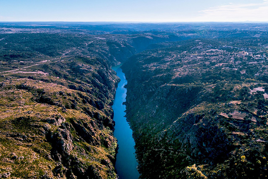 ¿Qué está haciendo el proyecto OET Durius para proteger la biodiversidad del río Duero?