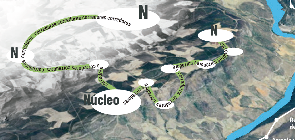 Imagen resumen del proyecto OET_DURIUS: conectividad ecológica en el Corredor Duero-Douro