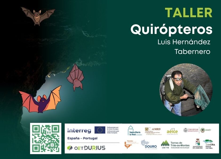 Taller de Murciélagos en La Fregeneda: Descubriendo a nuestros vecinos nocturnos.