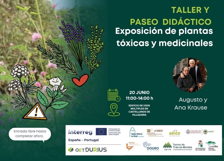 Exposición de plantas tóxicas y medicinales