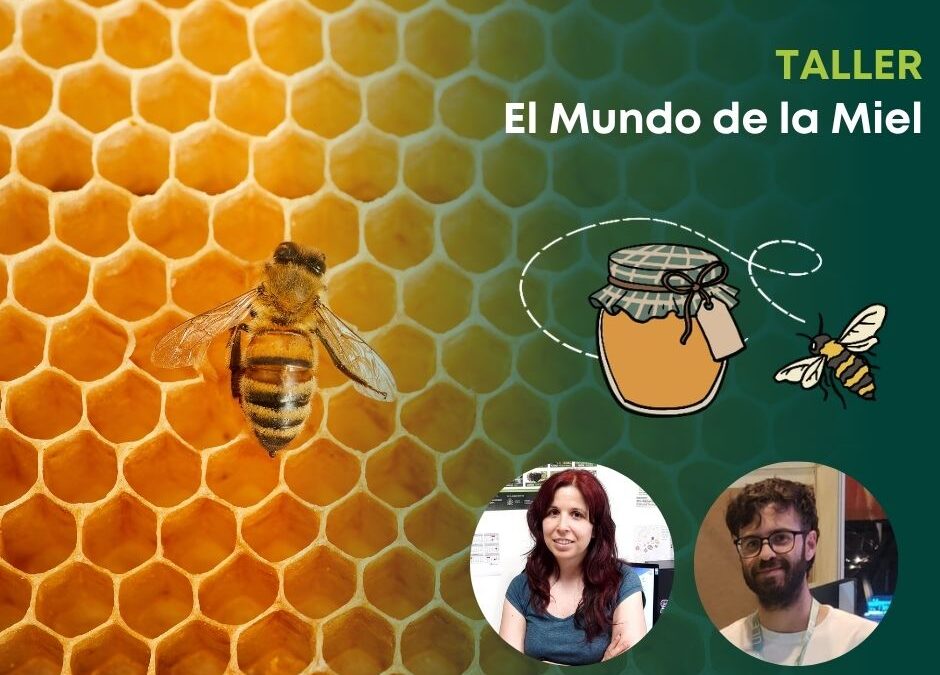 Taller “El Mundo de la Miel” en Zamora, el 19 de junio